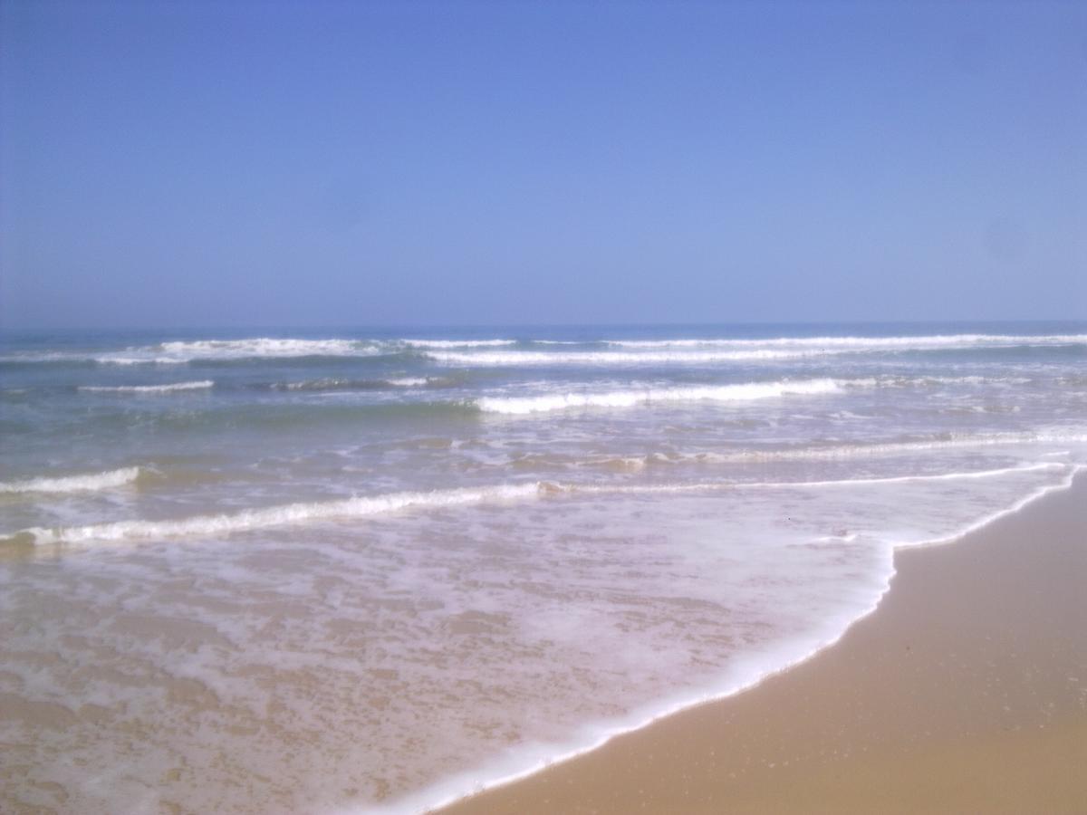 Villa Vista Cottage. Port Alfred Bagian luar foto